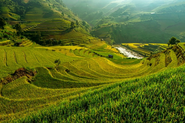 Bright morning of rice terraces 