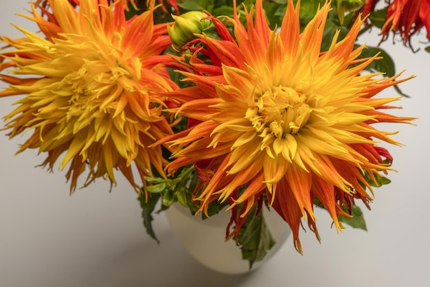 Bright orange autumn flowers as background