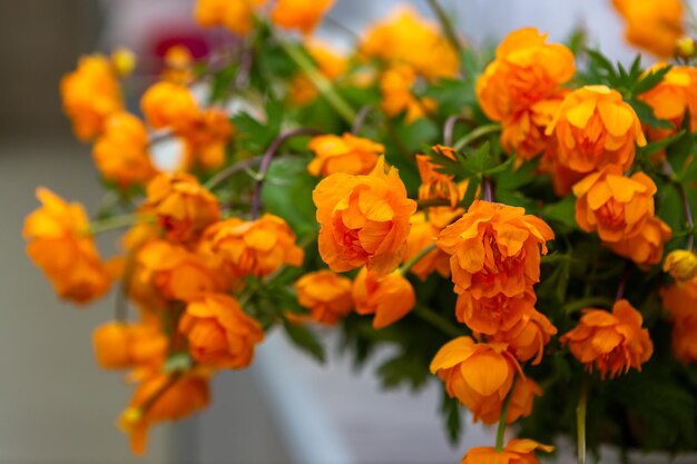 花の明るいオレンジ色の花束