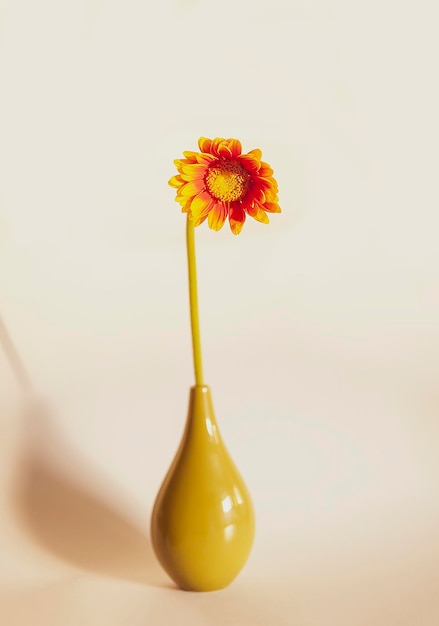 Bright orange gerbera flower in ceramic vase