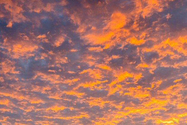 夕焼けの太陽の明るいオレンジ色の光線が青い夕方の空に雲を照らす