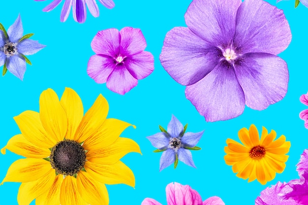 배경 또는 질감으로 흰색 배경에 화려한 꽃의 밝은 패턴 디자인을 위한 봄 여름 꽃 벽지 상위 뷰 플랫 누워