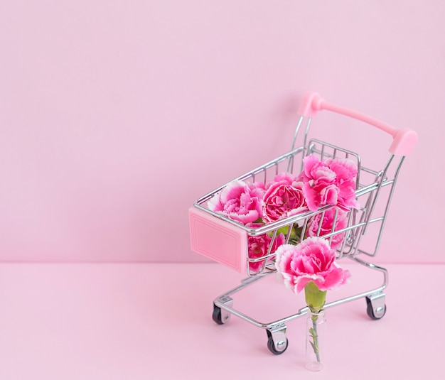분홍색 배경에 장바구니에 밝은 분홍색 카네이션 꽃, 집에 꽃과 식물을 제공하는 개념