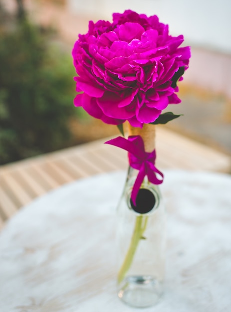 Foto peonia rosa brillante in una bottiglia