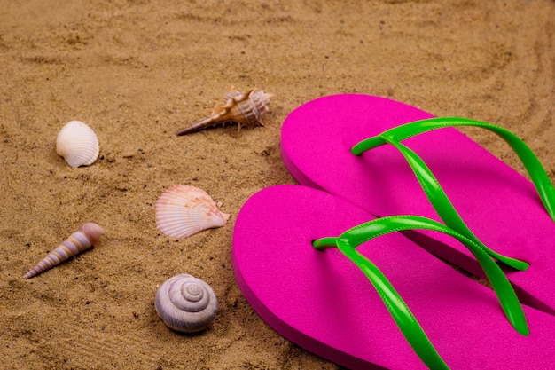 Bright pink slippers and shells on the beach