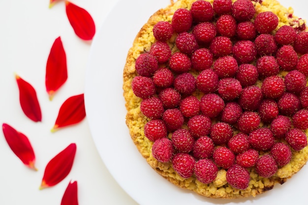 Bright raspberry cake on a plate