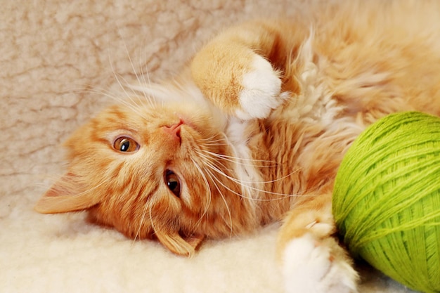 A bright red cat lies on a white sofa looks at a green skein of yarn closeup