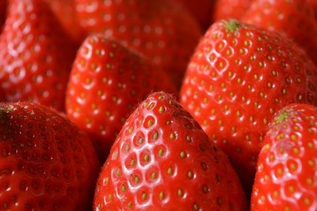 Bright_red_delicious_strawberry_fruits_close_up