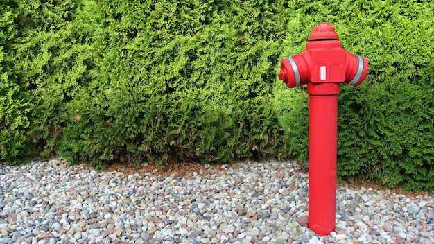 Bright red fire hydrant in the park