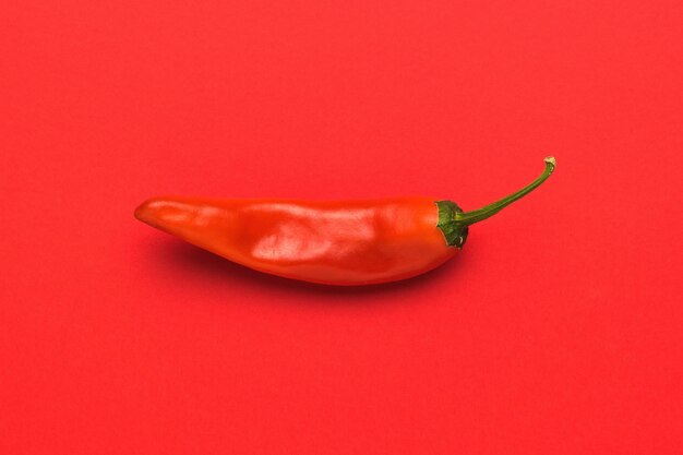 Bright red hot pepper on a bright red background