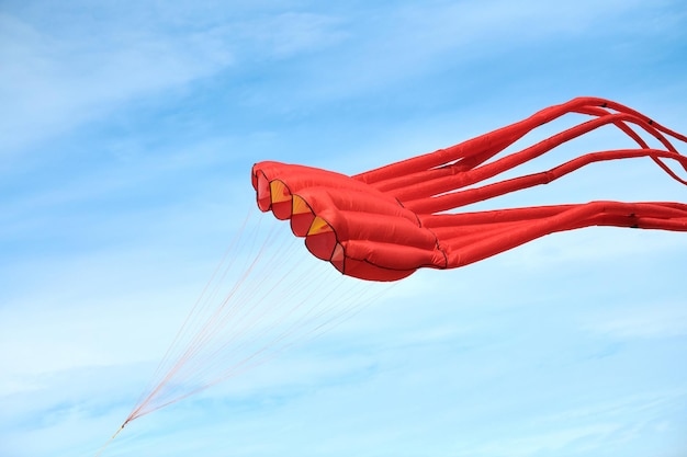 Bright red pink octopus kite flying against background of beautiful vibrant blue sky with white clouds, large red octopus-shaped kite, kite festival, Svetlogorsk, Kaliningrad oblast