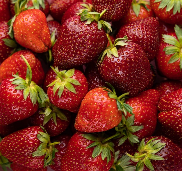 Bright red strawberries with green stems and leaves