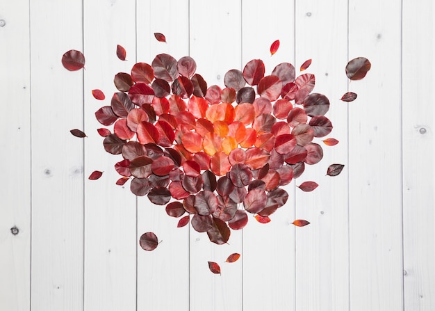 Bright red vinous and orange autumn leaves heart lying flat on the white wooden background