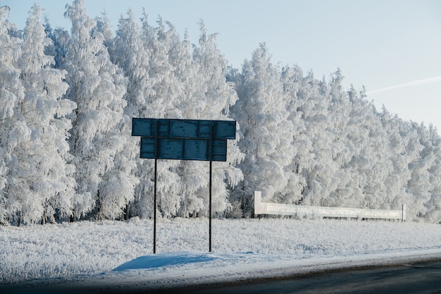晴れた冬の日に車から取られた道路のそばの明るい雪景色。氷のような木々や草。道路で署名します。