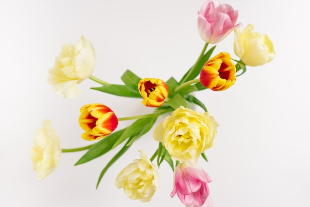 Bright spring bouquet of tulips in a vase closeup on a white background