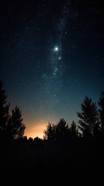 밤 하늘 의 밝은 별