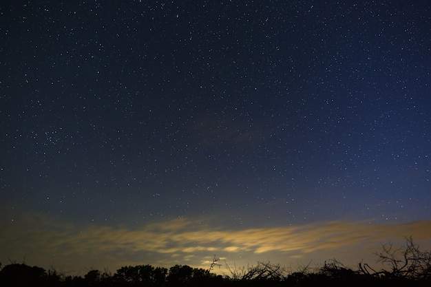 Bright stars in the night sky after sunset.