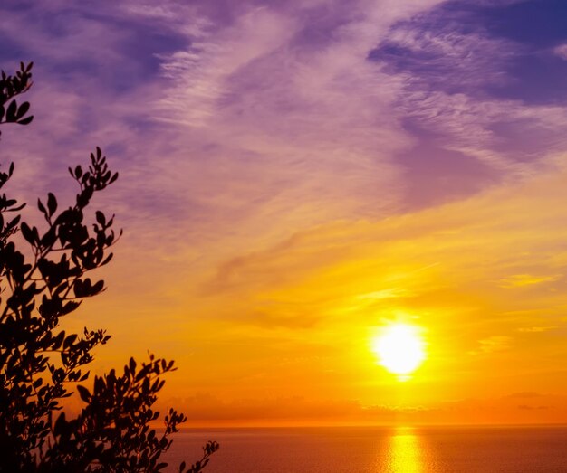 日没時の海の上の明るい太陽