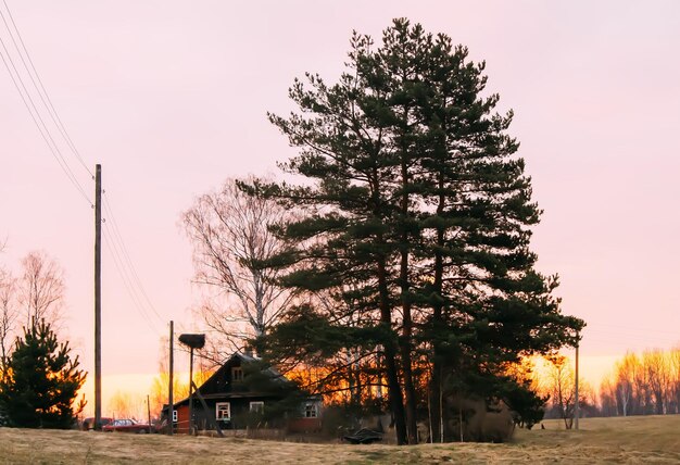 Bright sunset or sunrise in the countryside Rural buildings