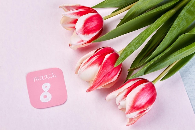 Bright tulips and card Greeting for Womens holiday