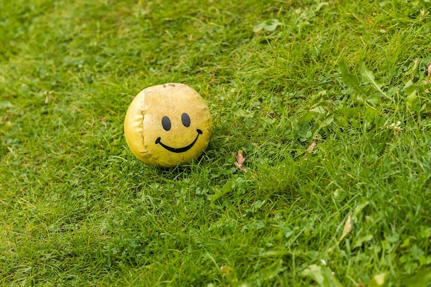 Una palla di colore giallo brillante con una faccina sorridente (emoticon) giace sull'erba verde