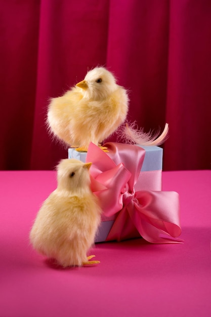 Bright yellow chickens with easter eggs and gift box against the deep raspberry color curtain. Trendy hard light still life.