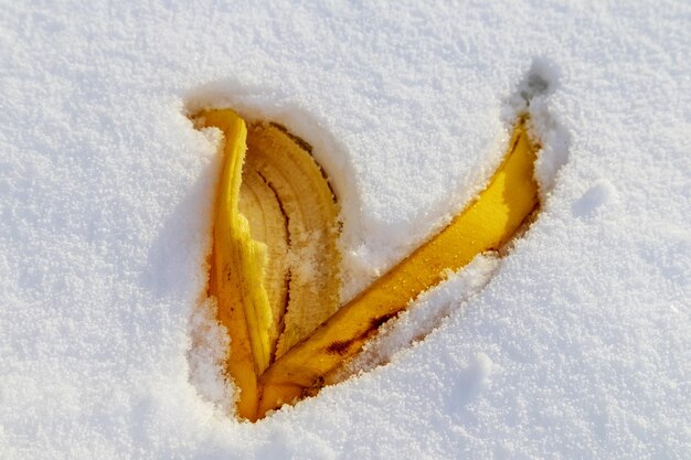 白い雪に落ちた鮮やかな黄色の葉