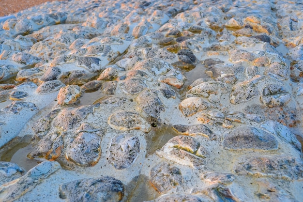 Brighton city multicoloured stone beach