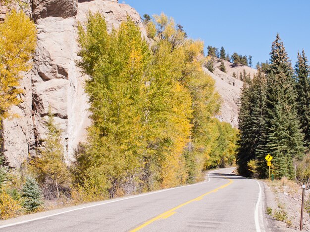 Briljante herfstkleuren sieren een landweg in Colorado.