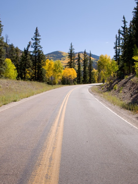 Briljante herfstkleuren sieren een landweg in Colorado.