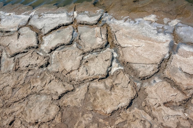 brine lagoon closeup