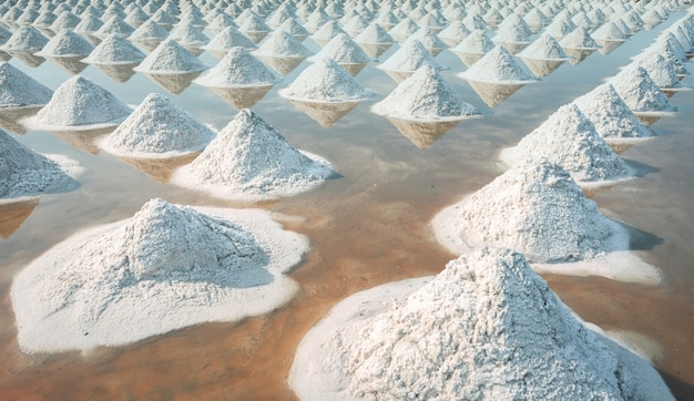 Brine salt farm at Samut Sakhon, Thailand. Organic sea salt. Evaporation and crystallization of sea water. Raw material of salt industrial. Sodium Chloride.