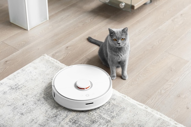 British cat near the vacuum cleaner robot in the living room