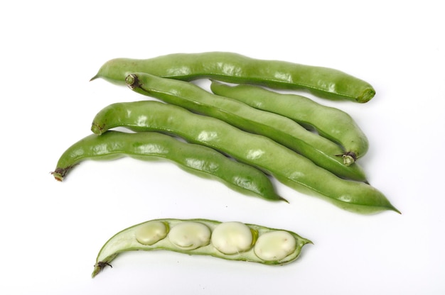 Broad beans on a white background studio shots