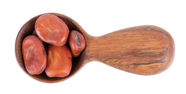 Broad beans in wooden spoon isolated on white background dry fava beans top view