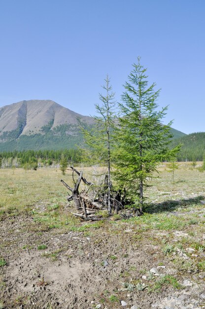 The broad valley between the mountains