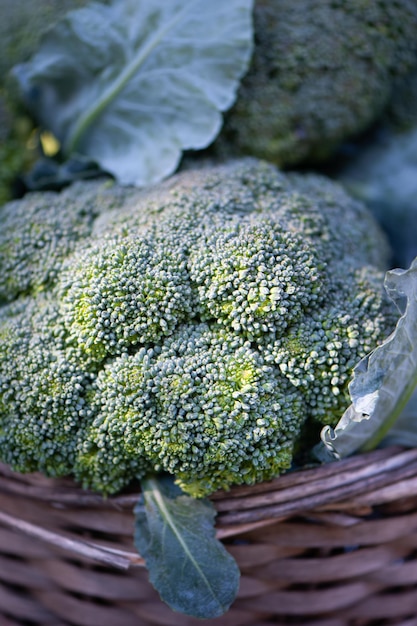 Broccoli in a basket closeup