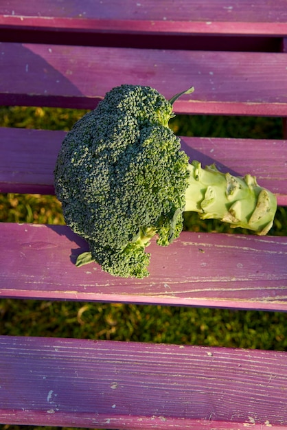 Photo broccoli on bench