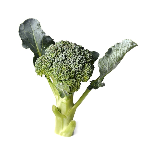 Broccoli Broccoli op wit.