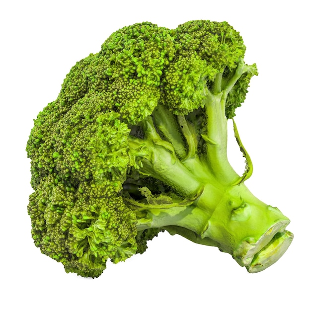 Broccoli cabbage closeup 3d rendering with realistic texture