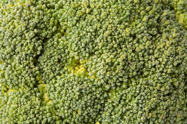 Colpo a macroistruzione del primo piano dei broccoli