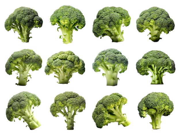 Broccoli collection isolated on white background with AI generated