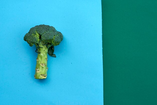 Photo broccoli on colored background