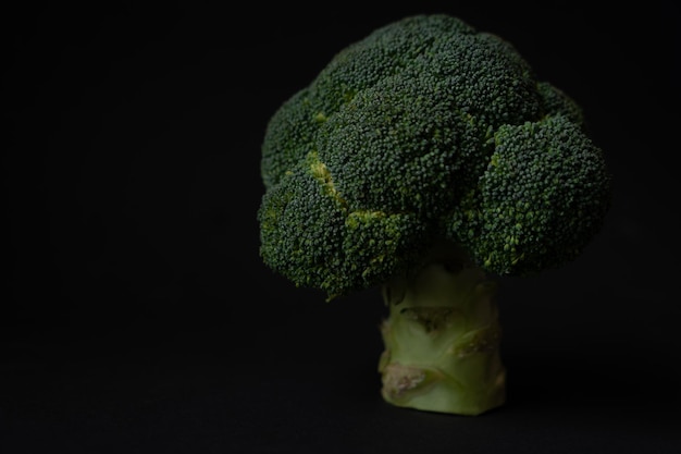 broccoli on a dark background