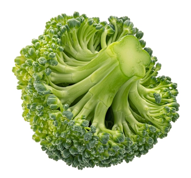 Broccoli die op witte achtergrond worden geïsoleerd