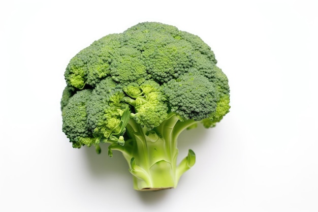 Broccoli foto realistische illustratie Generatieve AI Broccoli groene bloeiwijze