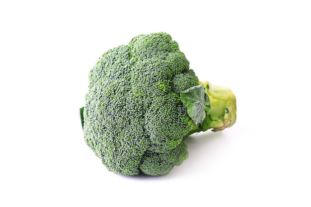 Broccoli geïsoleerd op een witte achtergrond