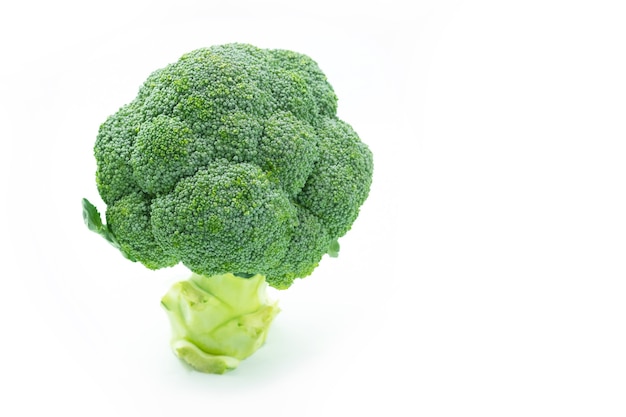 Broccoli geïsoleerd op witte achtergrond