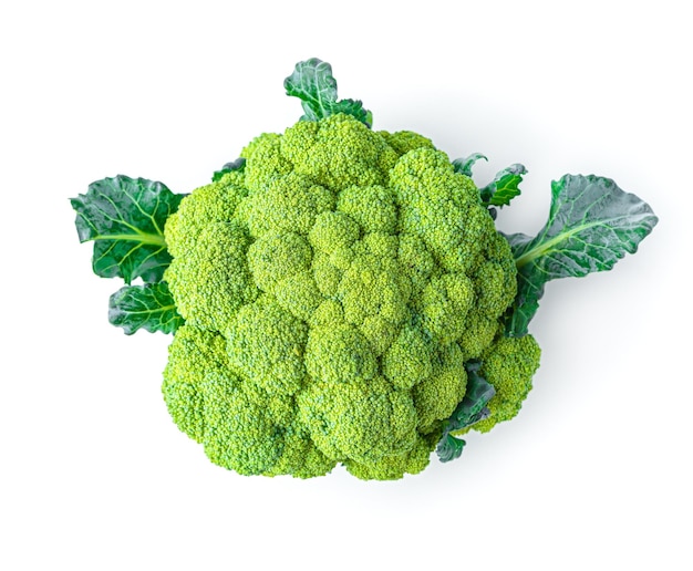 Broccoli inflorescence isolated on a white background Healthy diet food