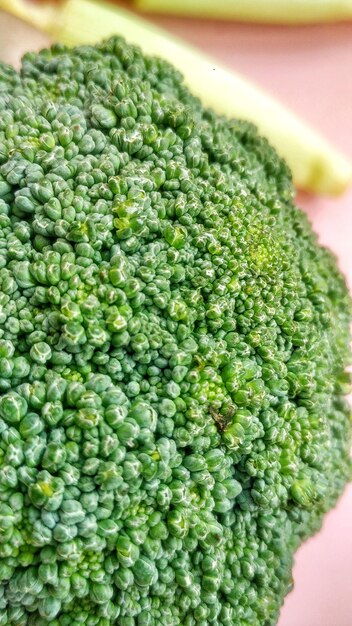 사진 브로콜리는 양배추 및 콜리플라워와 같은 종, 즉 brassica oleracea의 품종입니다.